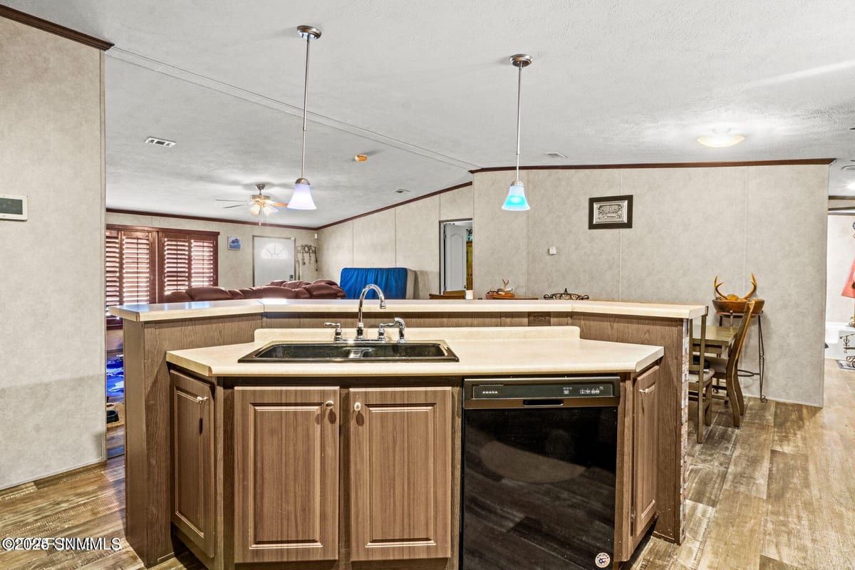 1171 Camino Real Drive, Chaparral, NM 88081 photo 10