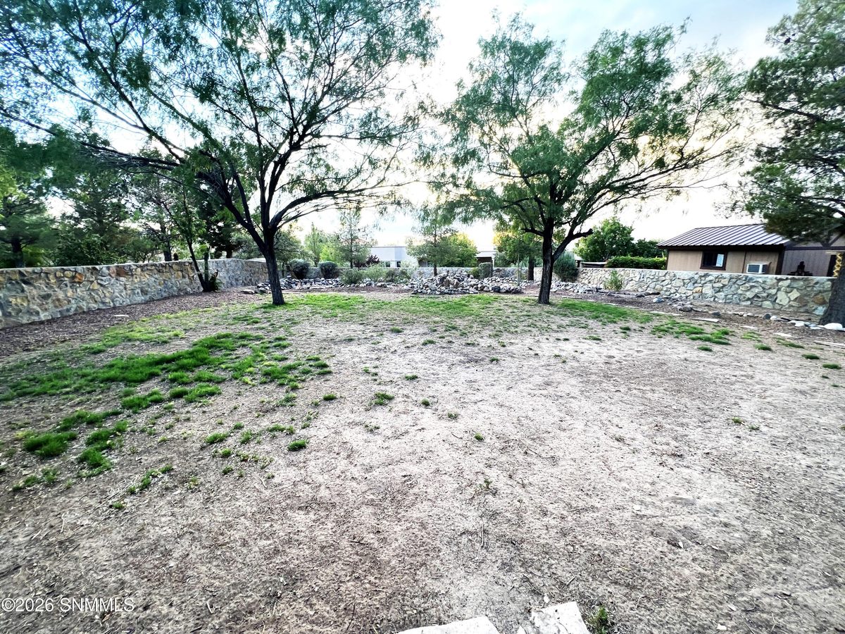 740 Canyon Point Road, Las Cruces, NM 88011 photo 12