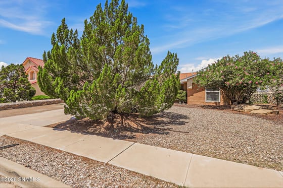 4721 Rio Vista Drive, Las Cruces, NM 88007 photo 2