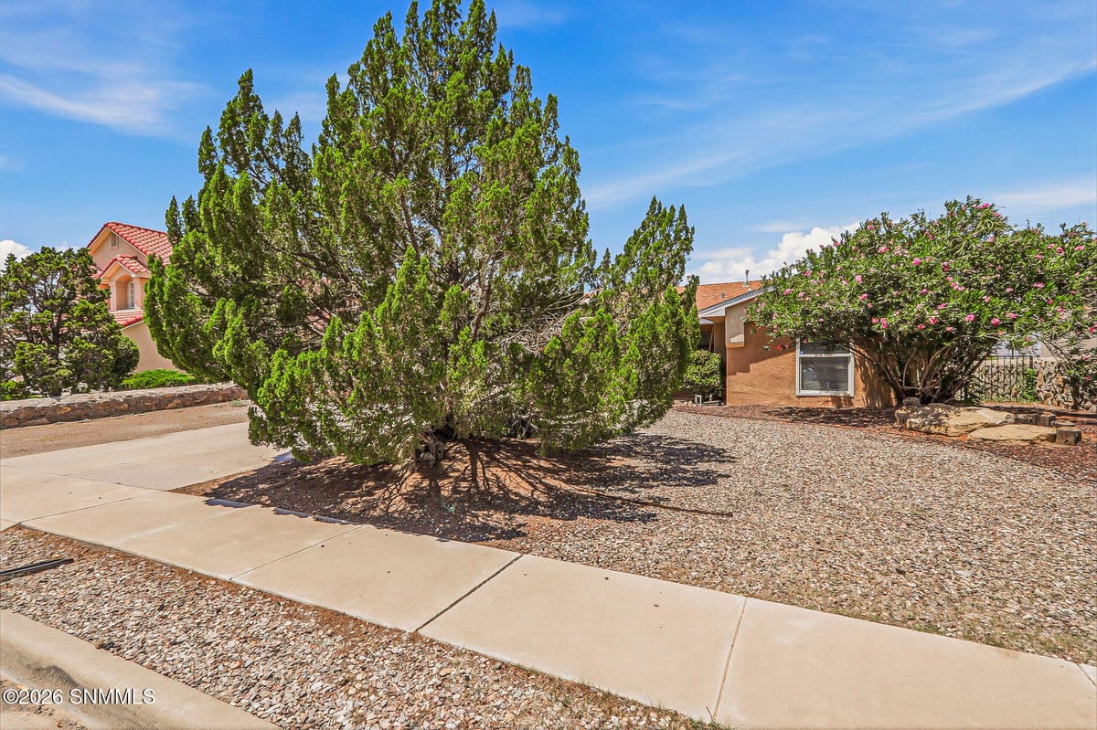 4721 Rio Vista Drive, Las Cruces, NM 88007 photo 2