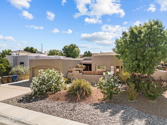 2026 El Presidio Drive, Las Cruces, NM 88011 photo 2