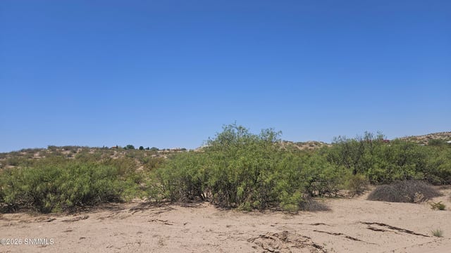 2940 Mesilla Hills Drive, Las Cruces, NM 88005, foto 2