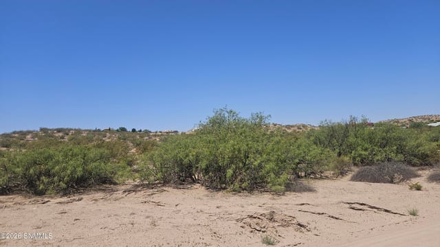 2940 Mesilla Hills Drive, Las Cruces, NM 88005, foto 3