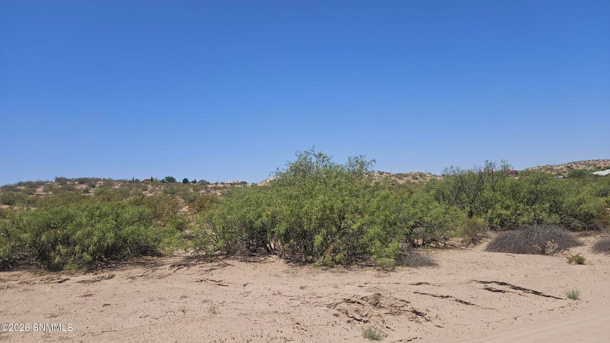 2940 Mesilla Hills Drive, Las Cruces, NM 88005, foto 3