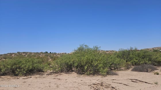 2960 Mesilla Hills Drive, Las Cruces, NM 88005 photo 3