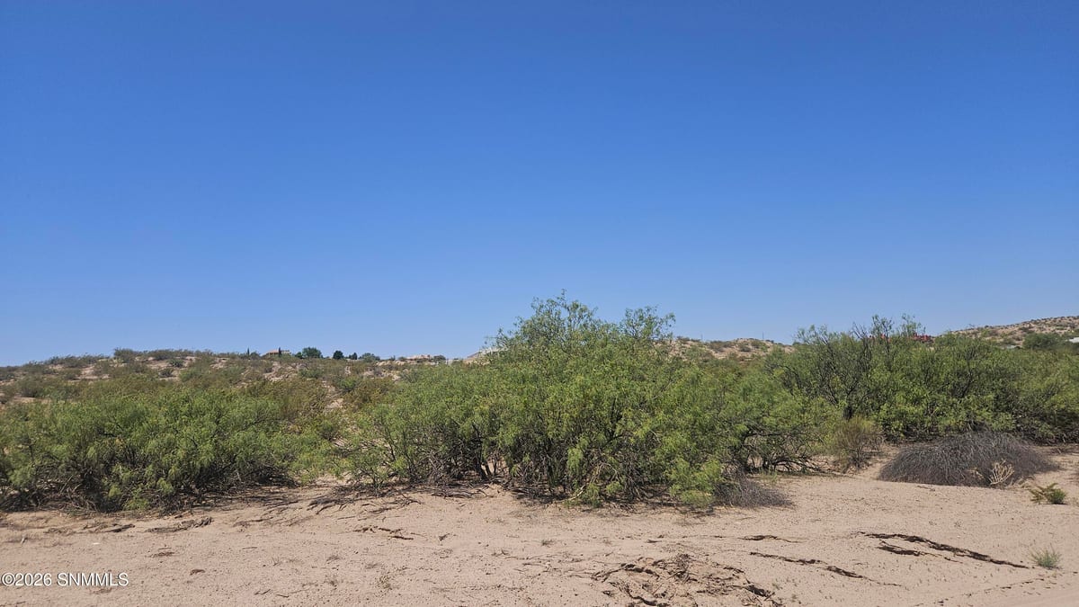 2960 Mesilla Hills Drive, Las Cruces, NM 88005 photo 3