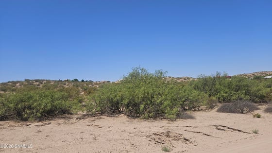 2960 Mesilla Hills Drive, Las Cruces, NM 88005 photo 4