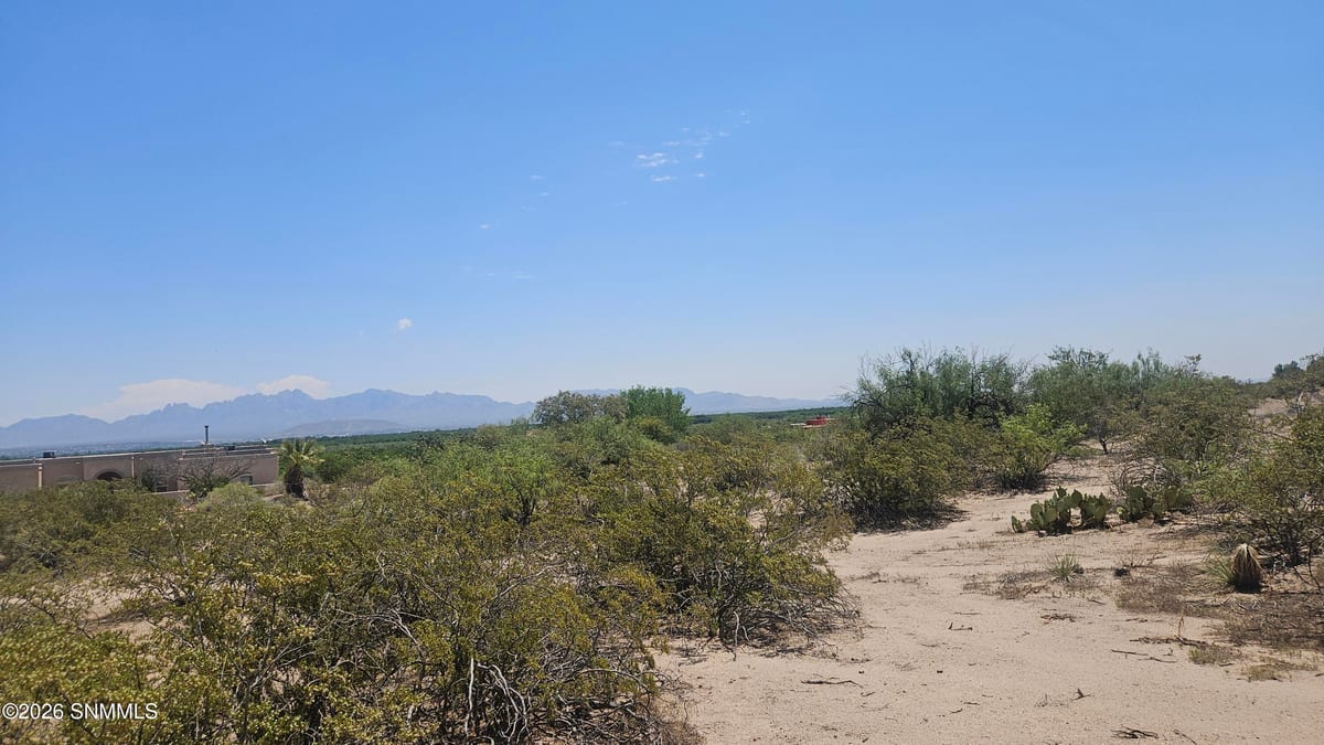 2960 Mesilla Hills Drive, Las Cruces, NM 88005 photo 6