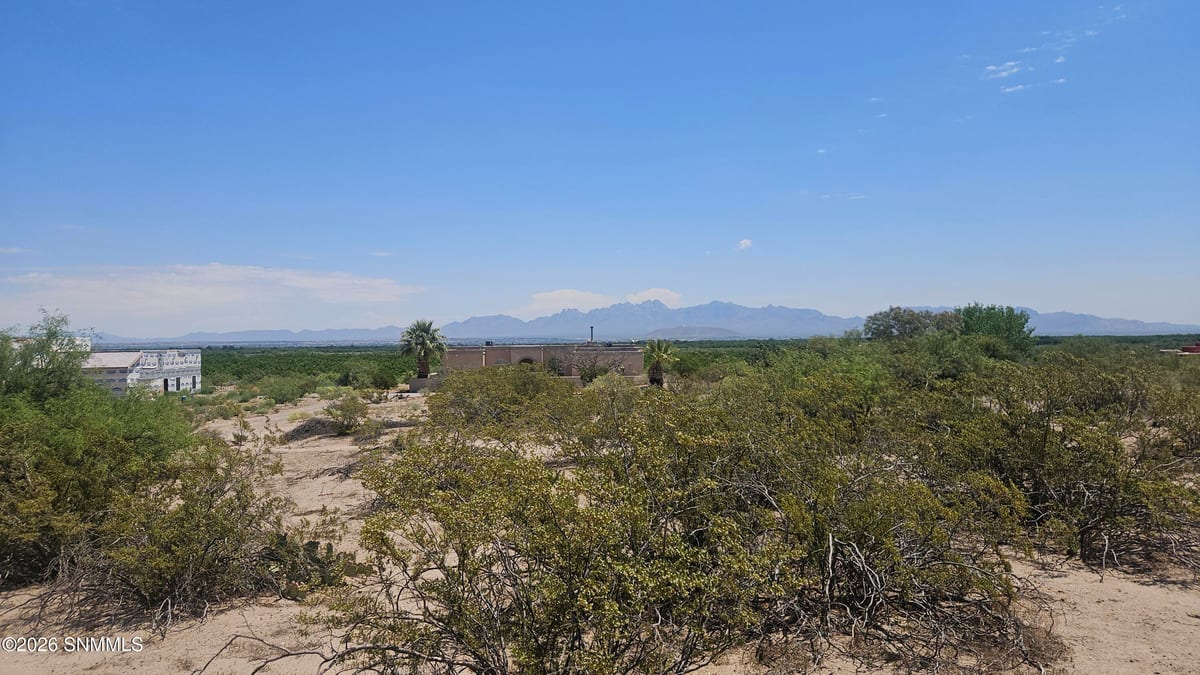 2960 Mesilla Hills Drive, Las Cruces, NM 88005 photo 7