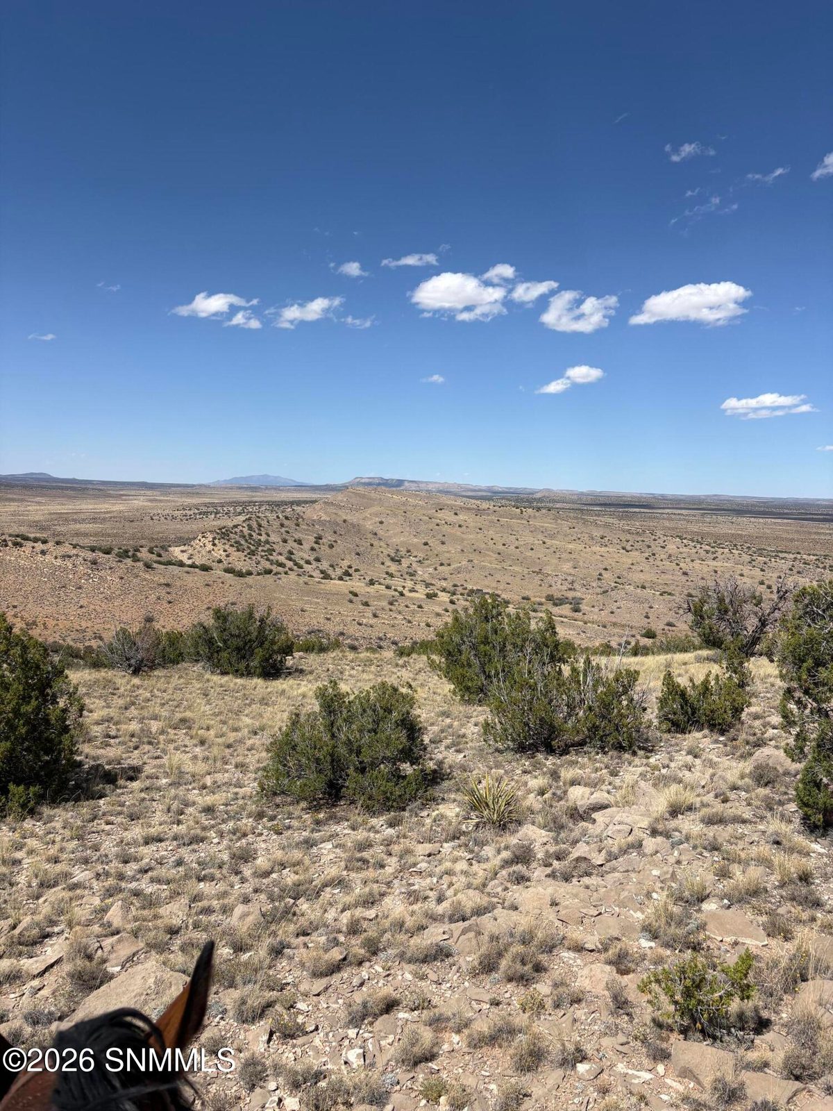 01 Wsmr P Route 7, Carrizozo, NM 88301 photo 13