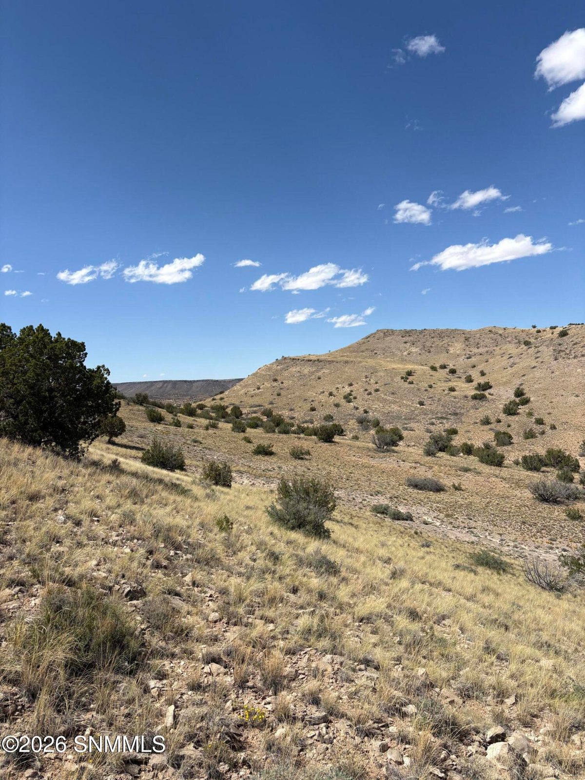 01 Wsmr P Route 7, Carrizozo, NM 88301 photo 14