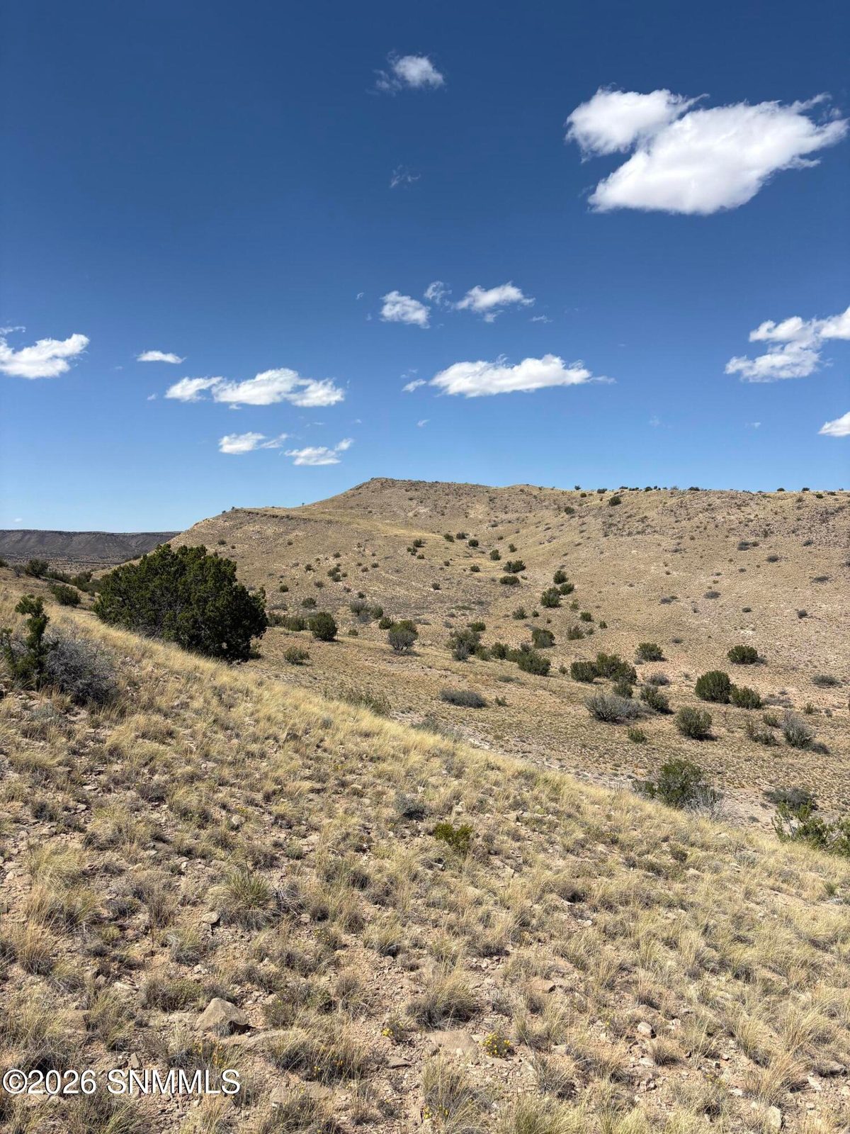 01 Wsmr P Route 7, Carrizozo, NM 88301 photo 15
