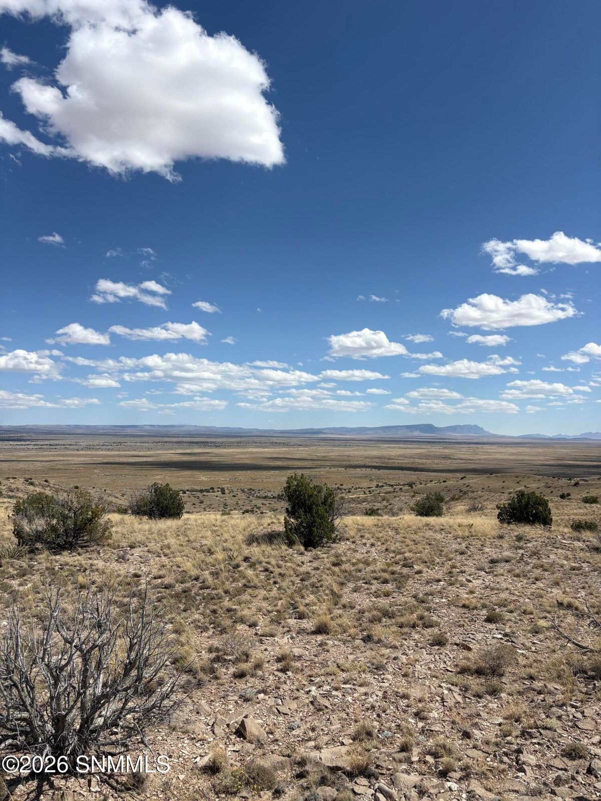 01 Wsmr P Route 7, Carrizozo, NM 88301 photo 10