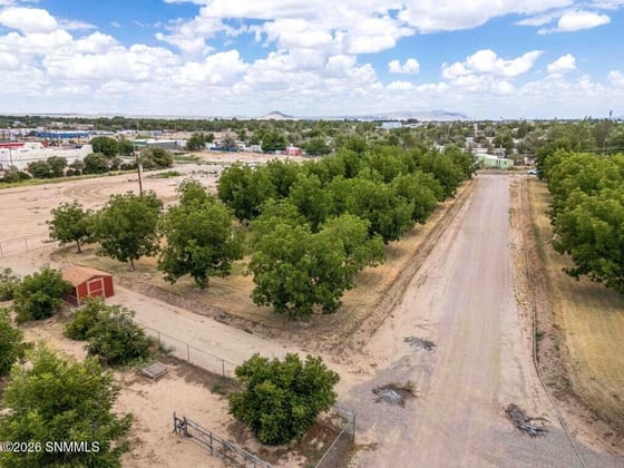 3490 Turtle Dove Place, Las Cruces, NM 88001 photo 3