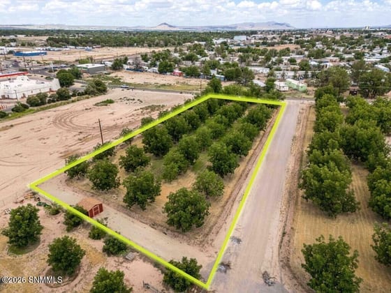 3490 Turtle Dove Place, Las Cruces, NM 88001 photo 4