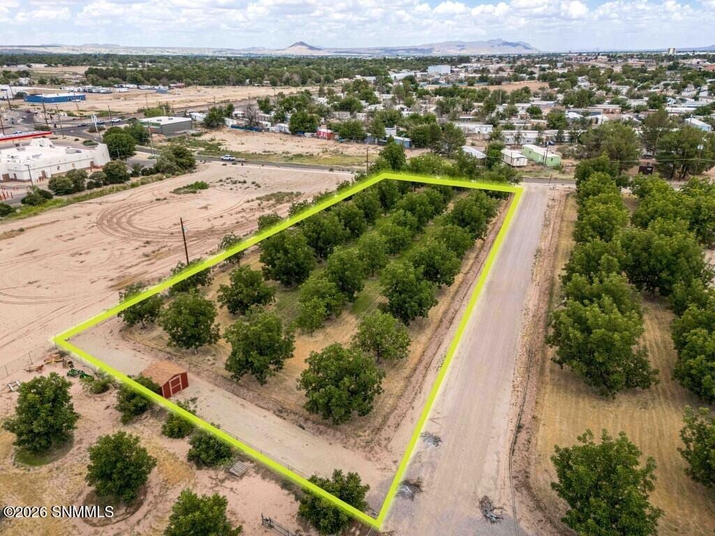 3490 Turtle Dove Place, Las Cruces, NM 88001, foto 4