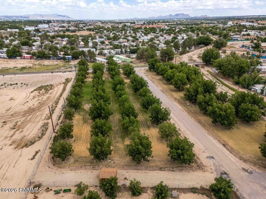 3490 Turtle Dove Place, Las Cruces, NM 88001, foto 6