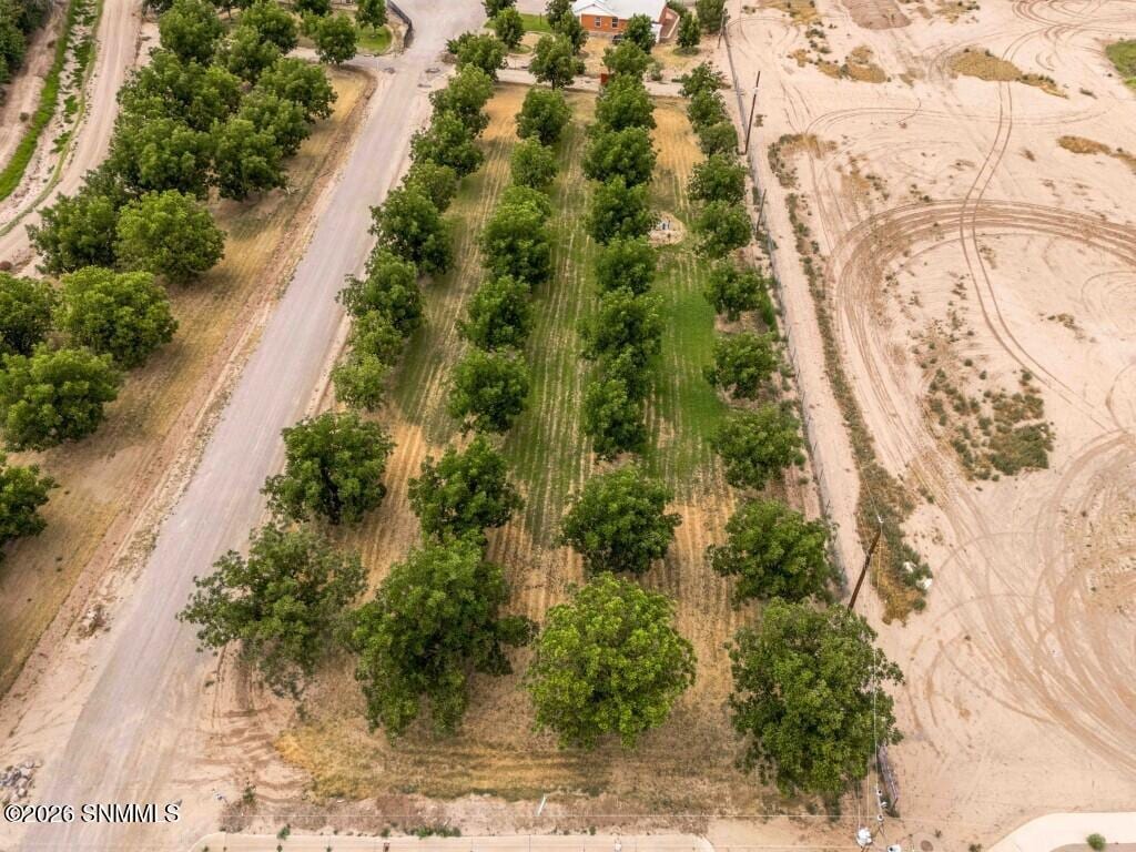 3490 Turtle Dove Place, Las Cruces, NM 88001, foto 8