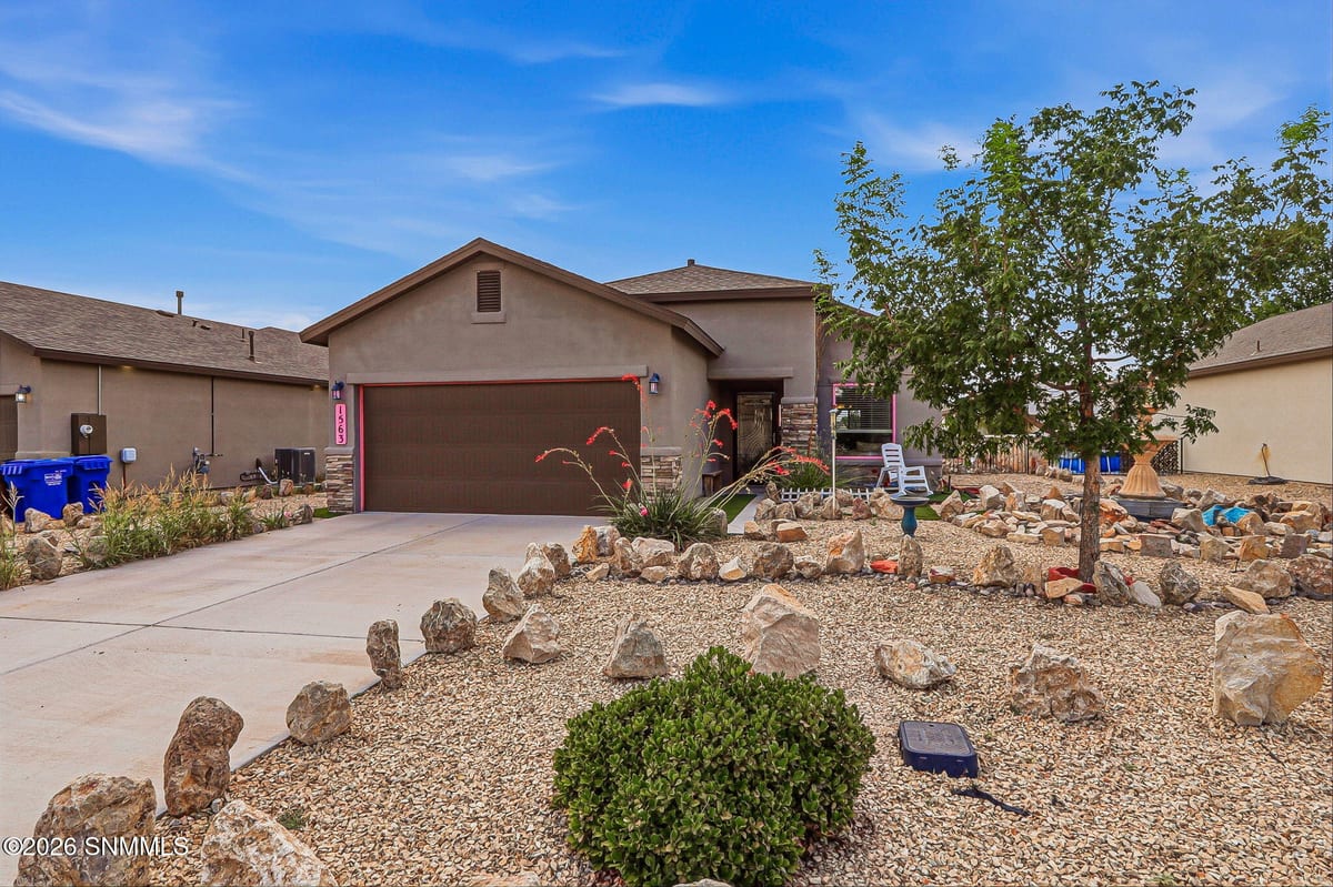 1563 Santa Thomas Street, Las Cruces, NM 88007 photo 1