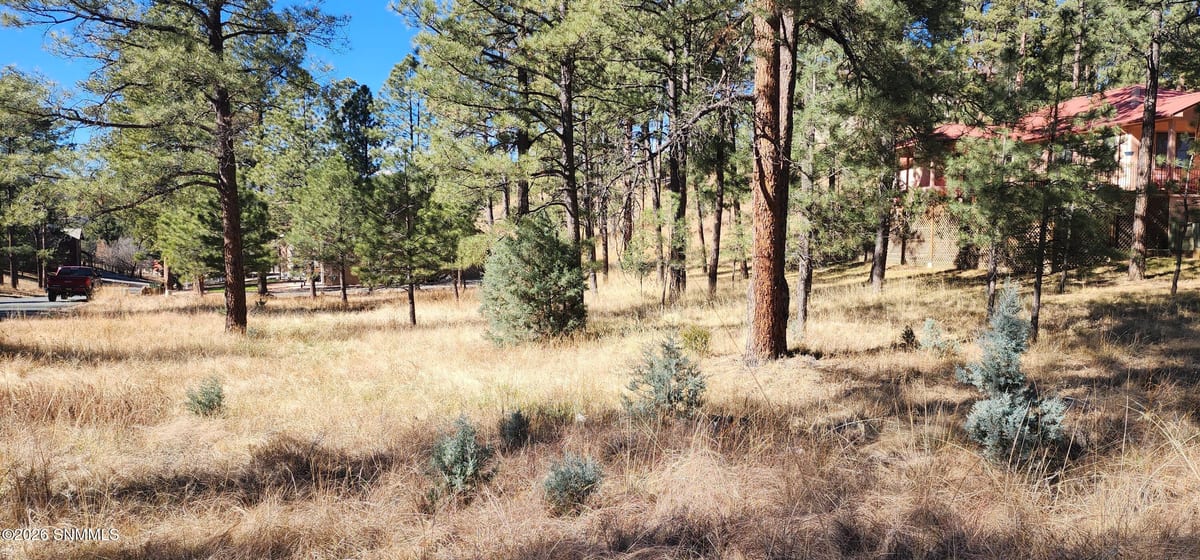 604 White Mountain Meadows Drive, Ruidoso, NM 88345 photo 2