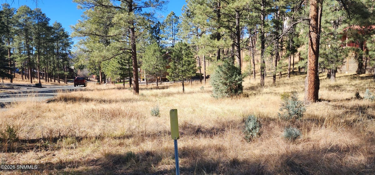 604 White Mountain Meadows Drive, Ruidoso, NM 88345 photo 3