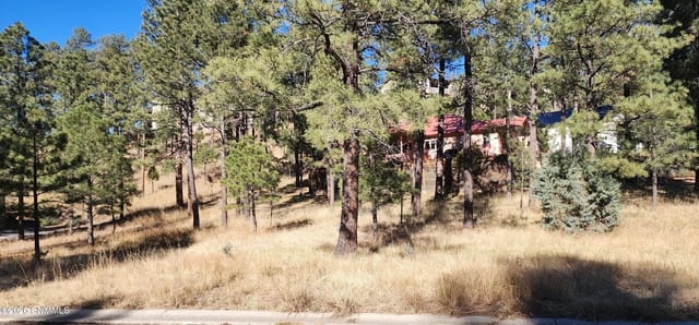 604 White Mountain Meadows Drive, Ruidoso, NM 88345 photo 4