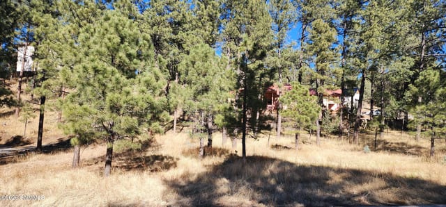 604 White Mountain Meadows Drive, Ruidoso, NM 88345 photo 5