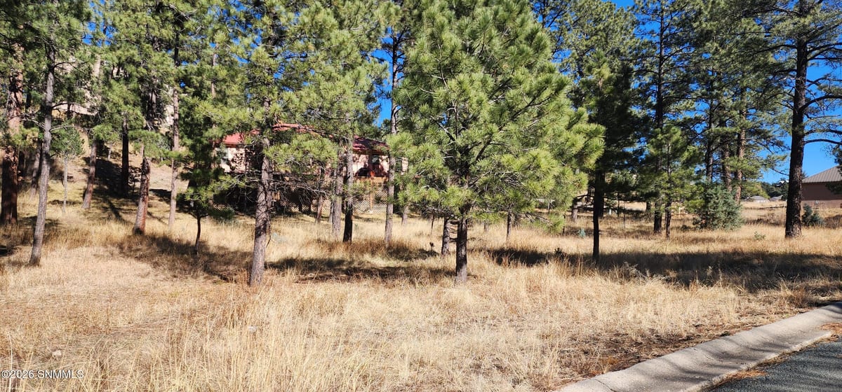 604 White Mountain Meadows Drive, Ruidoso, NM 88345 photo 6