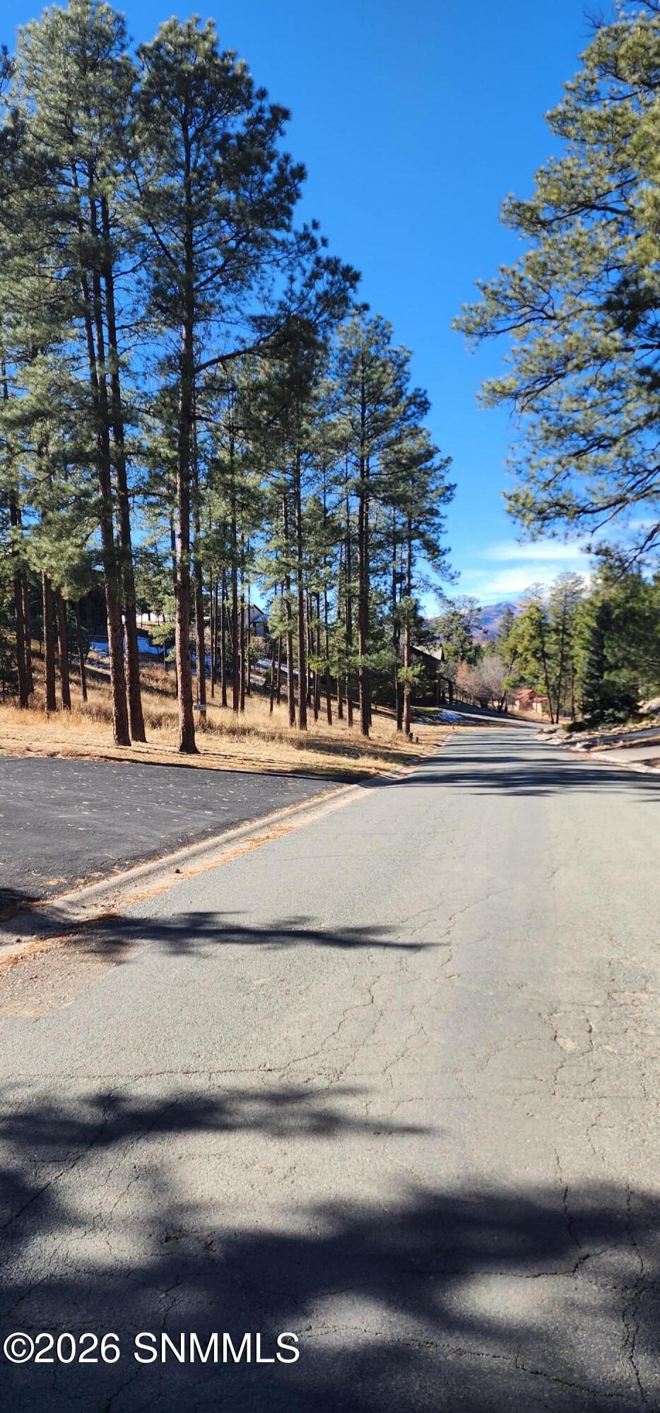 604 White Mountain Meadows Drive, Ruidoso, NM 88345 photo 7