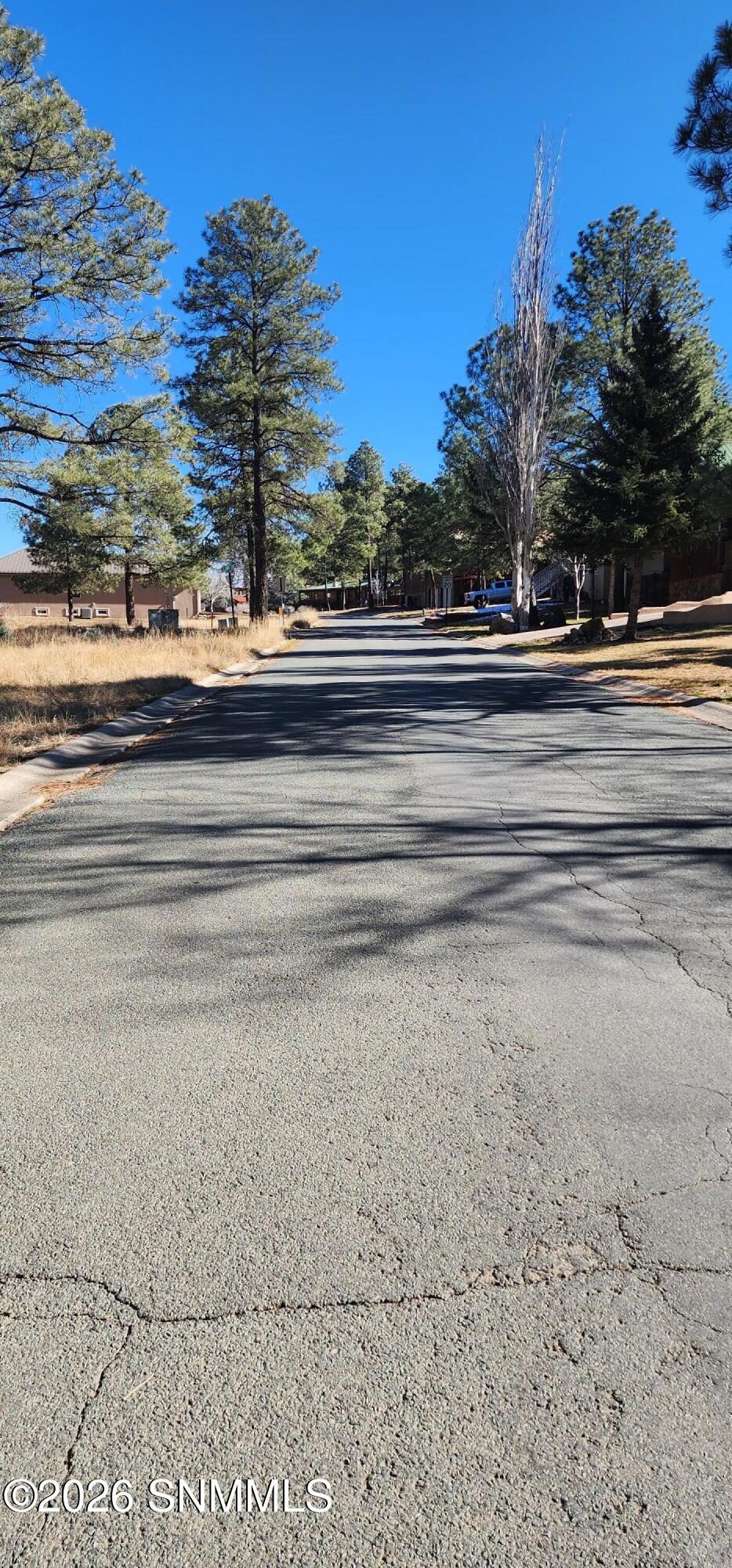604 White Mountain Meadows Drive, Ruidoso, NM 88345 photo 8