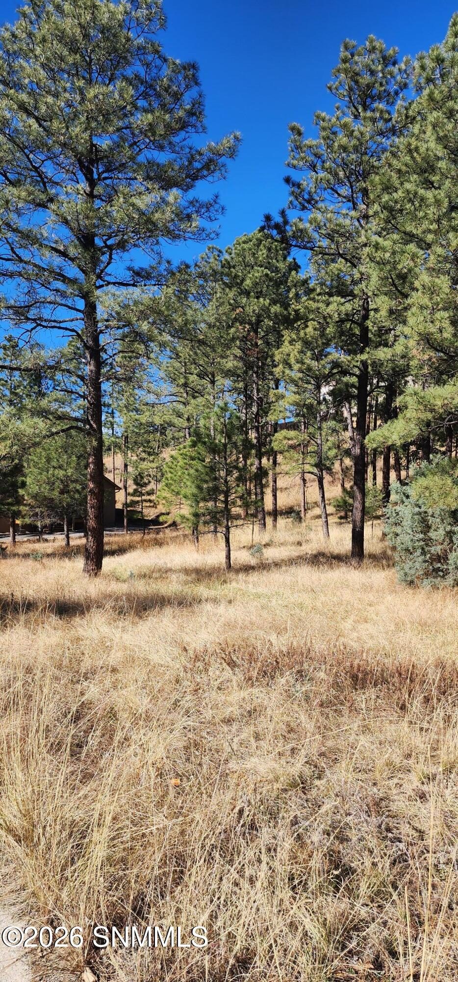 604 White Mountain Meadows Drive, Ruidoso, NM 88345 photo 9
