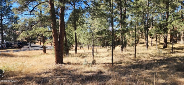 604 White Mountain Meadows Drive, Ruidoso, NM vacant land/acreage for sale at $55,000