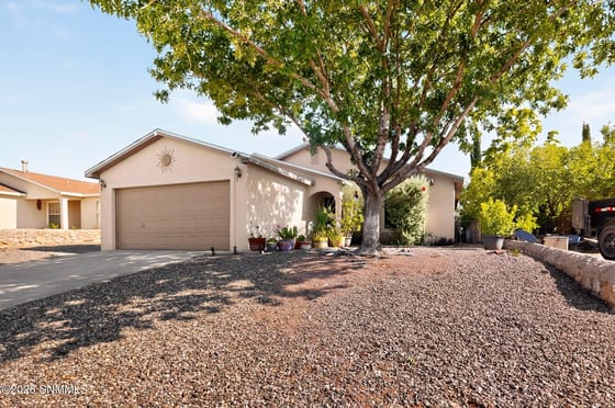 5041 Starlite Court, Las Cruces, NM 88012 photo 5