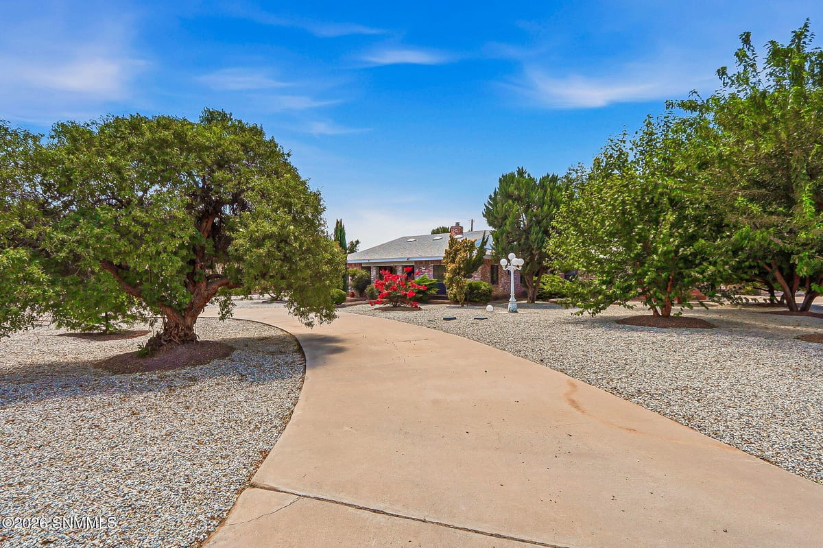 960 Calle Sereno, Las Cruces, NM 88007 photo 9