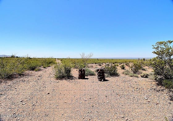 TBD Alamo Mine Trail, Las Cruces, NM 88011 photo 3