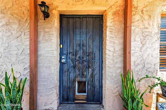 838 N Manzanita Street, Las Cruces, NM 88001 photo 3