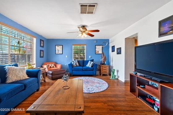 838 N Manzanita Street, Las Cruces, NM 88001 photo 5
