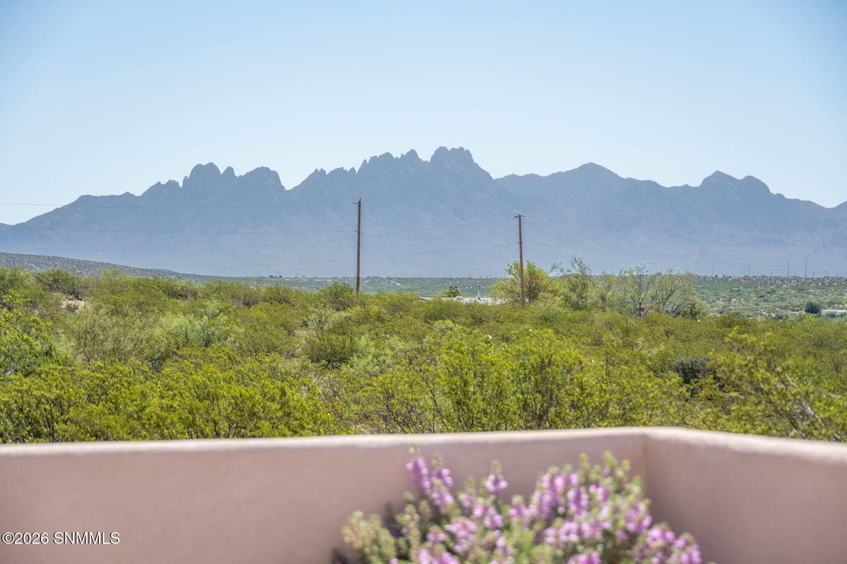 1900 Desert Ridge Rise Road, Las Cruces, NM 88012 photo 6