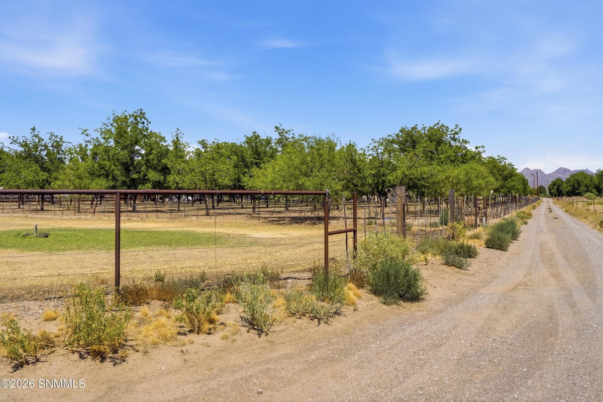 1146 Eagle Wings Road, Las Cruces, NM 88012 photo 6