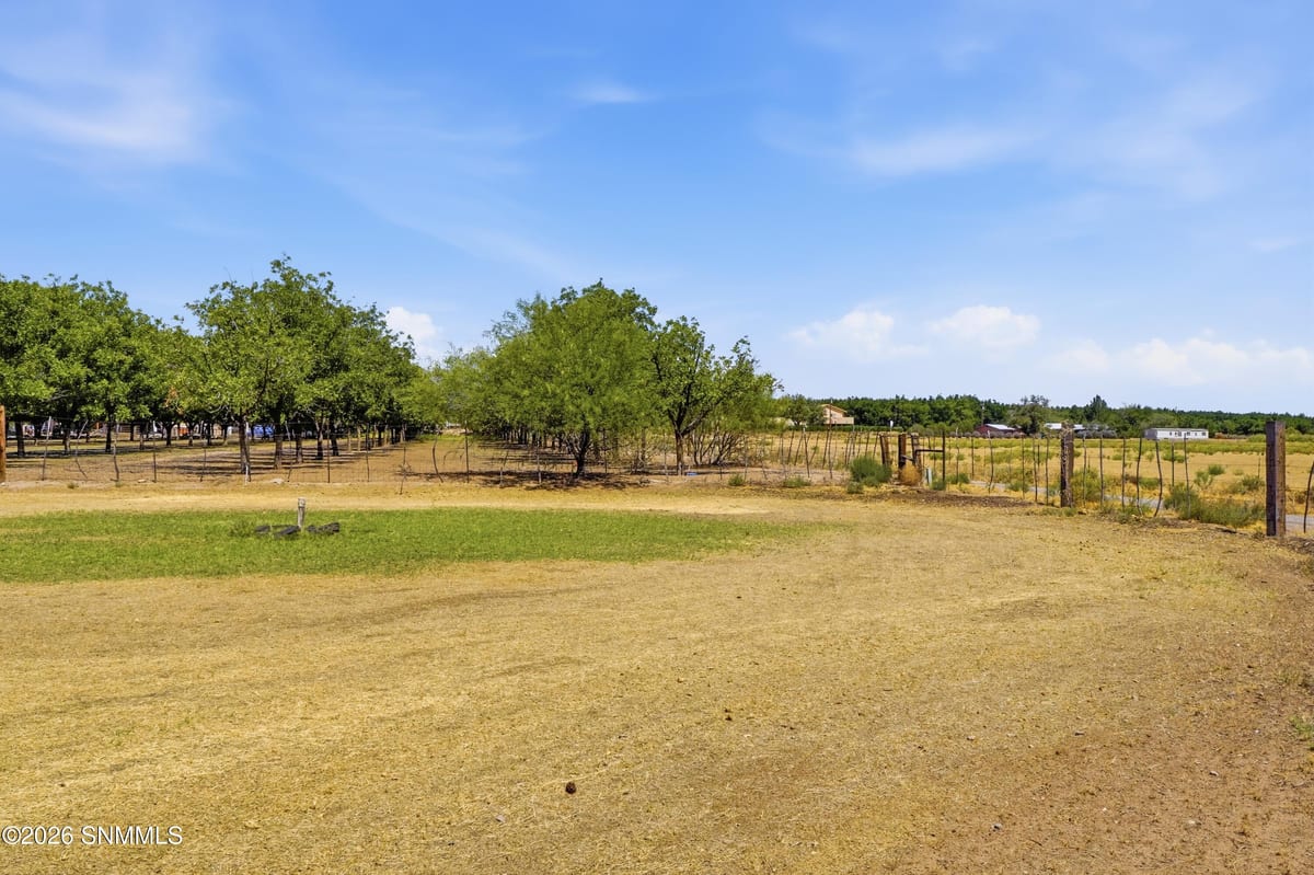 1146 Eagle Wings Road, Las Cruces, NM 88012 photo 8