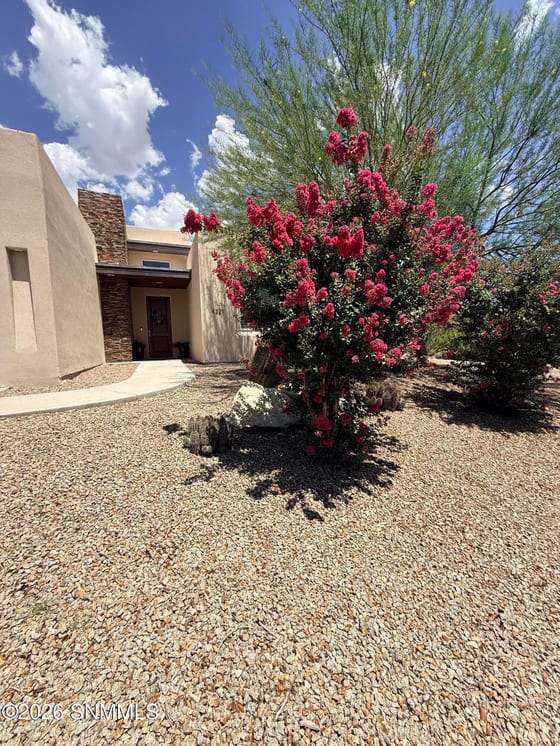 4321 Sheep Springs Road, Las Cruces, NM 88011 photo 2