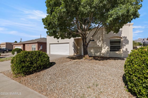 5591 Patagonia Drive, Las Cruces, NM 88011 photo 3
