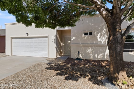 5591 Patagonia Drive, Las Cruces, NM 88011 photo 4