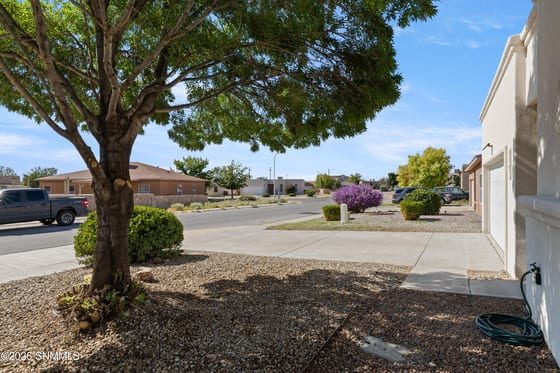 5591 Patagonia Drive, Las Cruces, NM 88011 photo 5