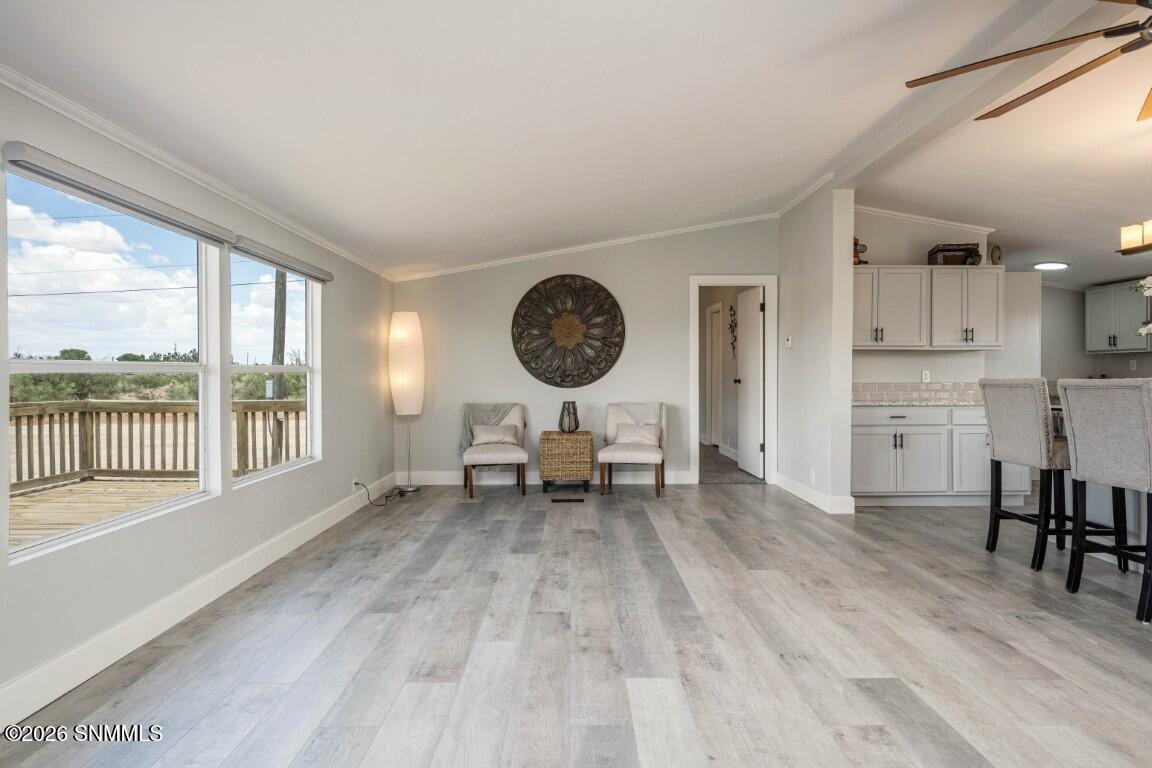 517 Hermosa Drive, Chaparral, NM 88081, foto 8