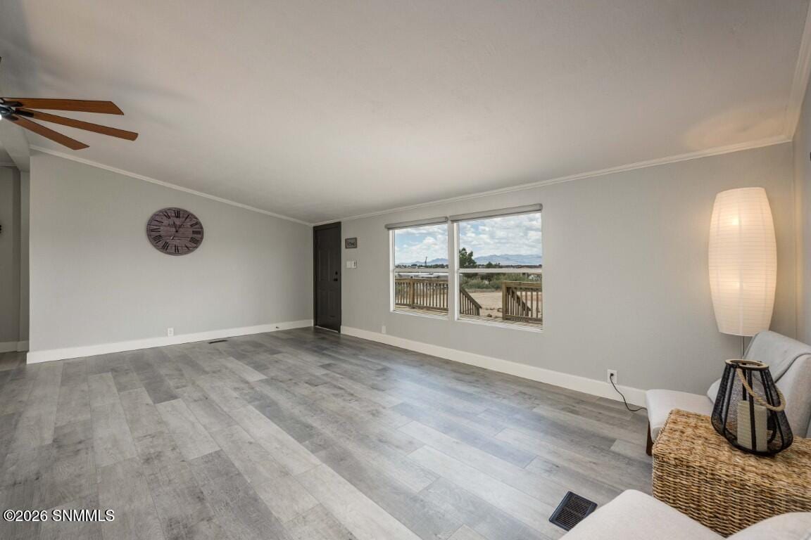 517 Hermosa Drive, Chaparral, NM 88081, foto 10