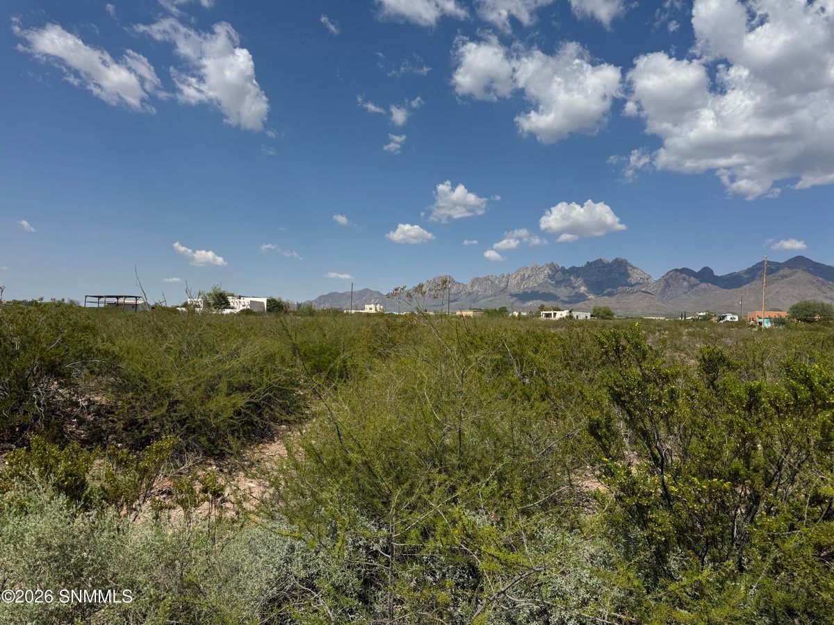 9595 Soledad Canyon Road, Las Cruces, NM 88011 photo 4