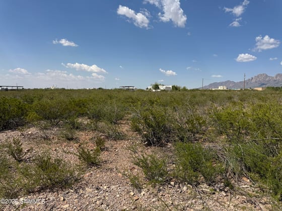 9595 Soledad Canyon Road, Las Cruces, NM 88011 photo 5