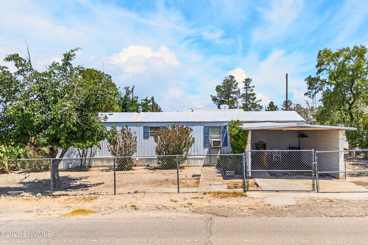 1125 Livesay Street, Anthony, NM 88021, foto 2