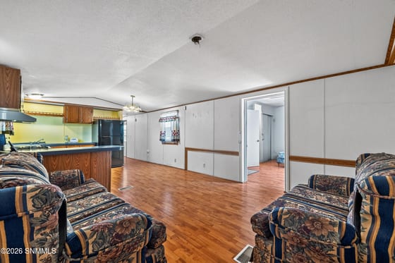 1125 Livesay Street, Anthony, NM 88021 photo 5